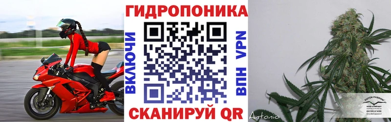 Магазин наркотиков Нерюнгри Конопля Cocaine Альфа ПВП Мефедрон
