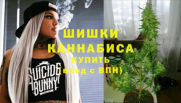 MESCALINE Гусь-Хрустальный