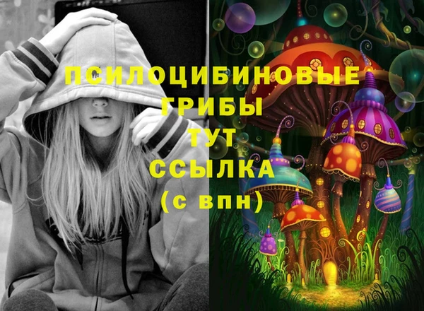 MESCALINE Гусь-Хрустальный