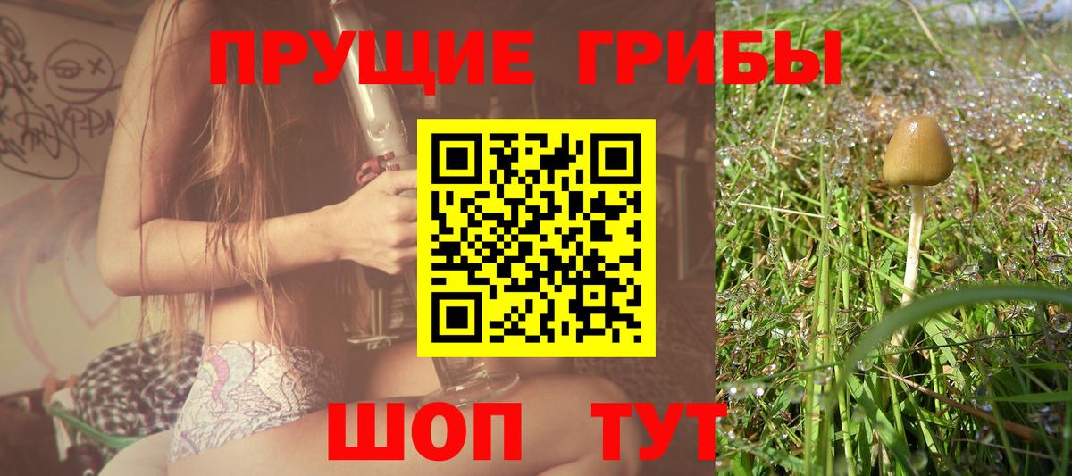 Псилоцибиновые грибы мицелий  Галлюциногенные грибы Psilocybine cubensis  Нерюнгри  Вход с VPN 